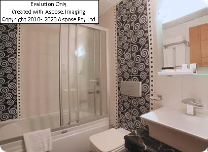 سرویس بهداشتی