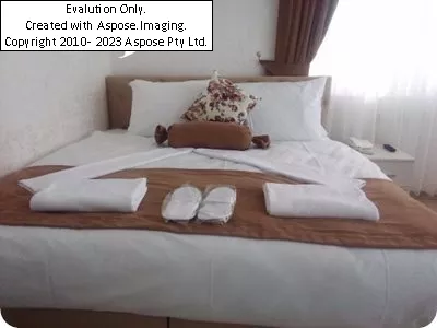 Hotel The Golden Peras Istanbul