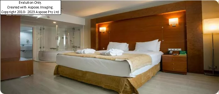 hotel Holiday Inn Istanbul City