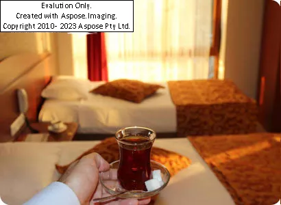 امکانات هتل Kaya Hotel Istanbul