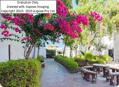 هتل ققنوس کیش