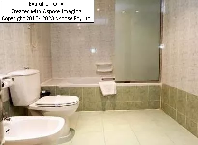 هتل Delmon  دبی نمای سرویس بهداشتی اتاق ها