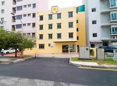 Fragrance Sunflower Fragrance Sunflower