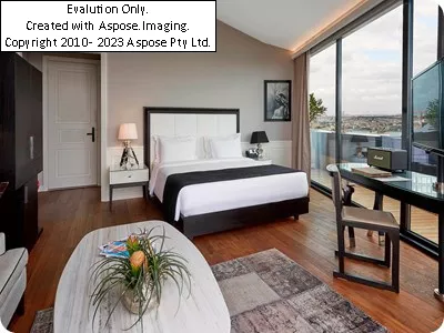 اتاق Gezi Hotel Bosphorus