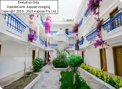 Ladonia Club Blue White