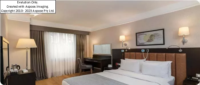 hotel Holiday Inn Istanbul City