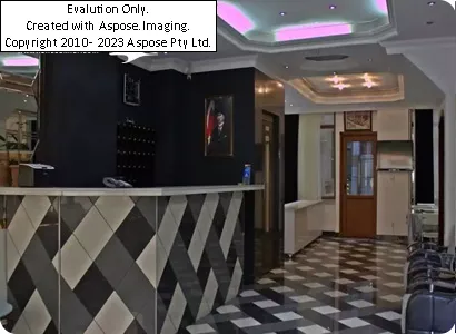 لابی هتل فلش استانبول