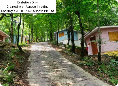 هتل بام سبز