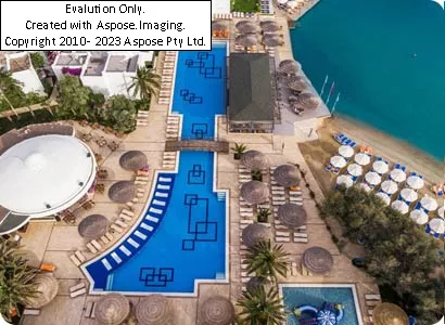 Ladonia Club Blue White