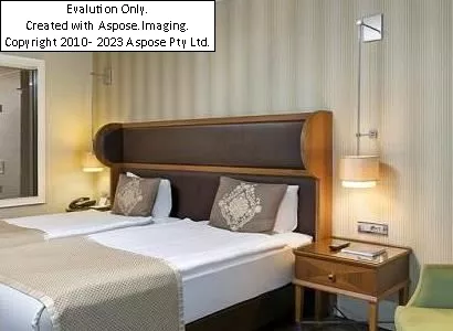 اتاق های هتل تایتانیک بیزینس گلدن هورن