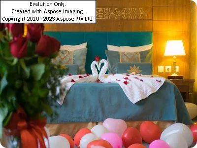 سوئیت ماه عسل هتل زندیه شیراز