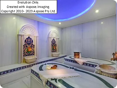 Hilton Istanbul bosphorus امکانات