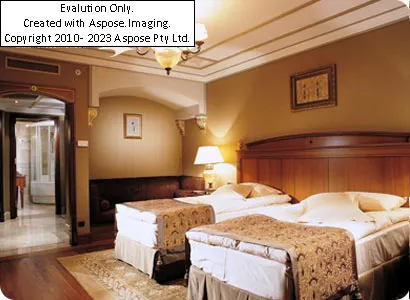 Hotel The Central Palace