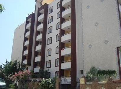 Golden Moon Apart Golden Moon Apart