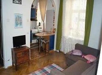 Apartment on Mitinsky