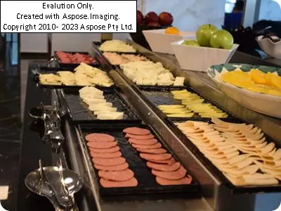 هتل یورو پلازا استانبول