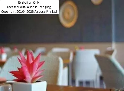 Hotelد یاما پوکت