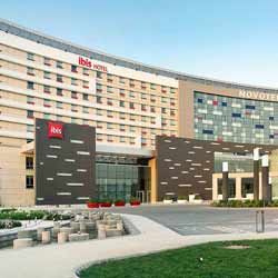 ایبیس ایبیس