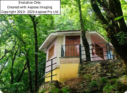 هتل بام سبز