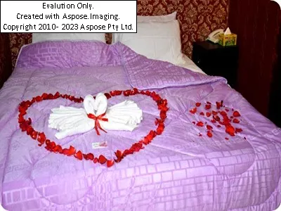 اتاق زوج های جوان در هتل شاهان