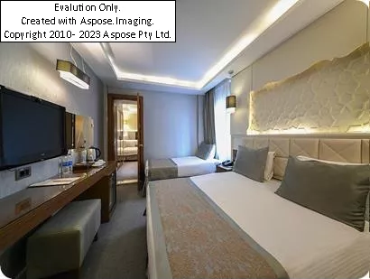 اتاق هتل Economic Star