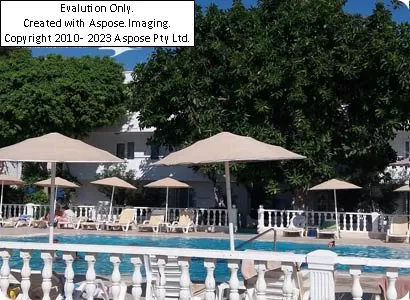 Ladonia Club Blue White