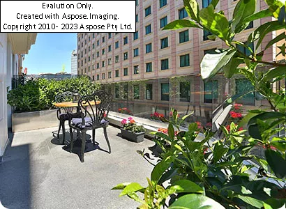 فضای باز هتل