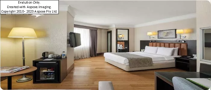 hotel Holiday Inn Istanbul City