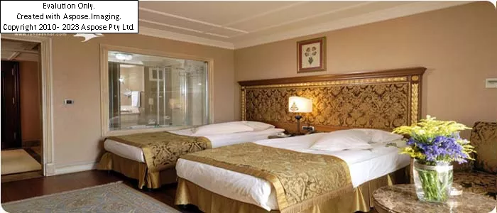 hotel The Central Palace Bosphorus