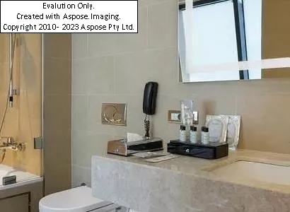 اتاق های هتل تایتانیک بیزینس گلدن هورن