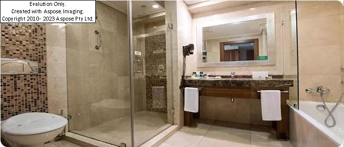 hotel Holiday Inn Istanbul City