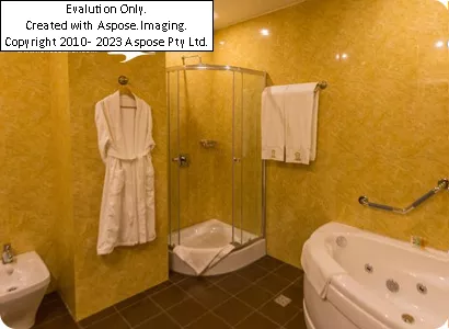 هتل اسپیناس پالاس تهران