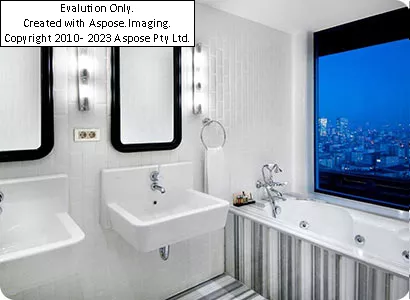 سرویس بهداشتی