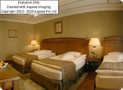 Hotel The Central Palace