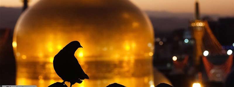 تور مشهد از شیراز